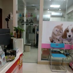 洪星1998寵物店詳細(xì)信息 電話(huà)、地址、價(jià)格、營(yíng)業(yè)時(shí)間及圖片