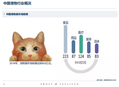 高收入、高學歷的單身人群，養寵前請先算清這筆賬